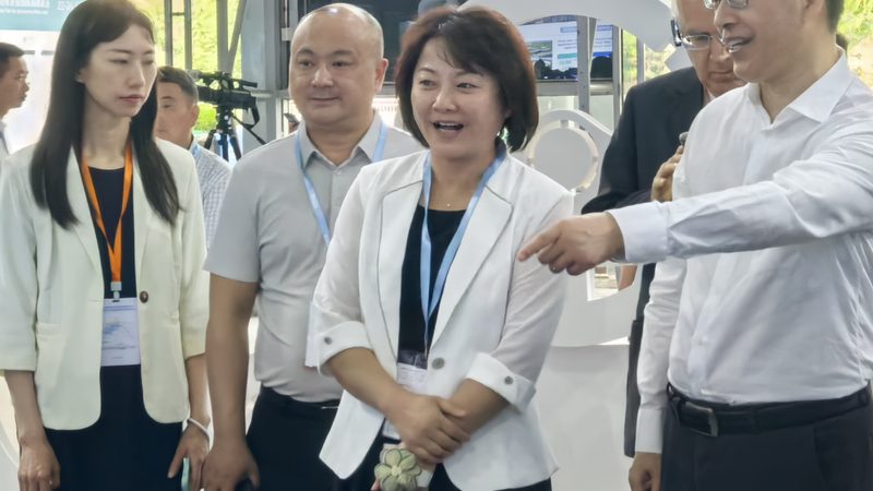 刹车片刹车距离差距大吗？揭秘刹车距离的影响因素